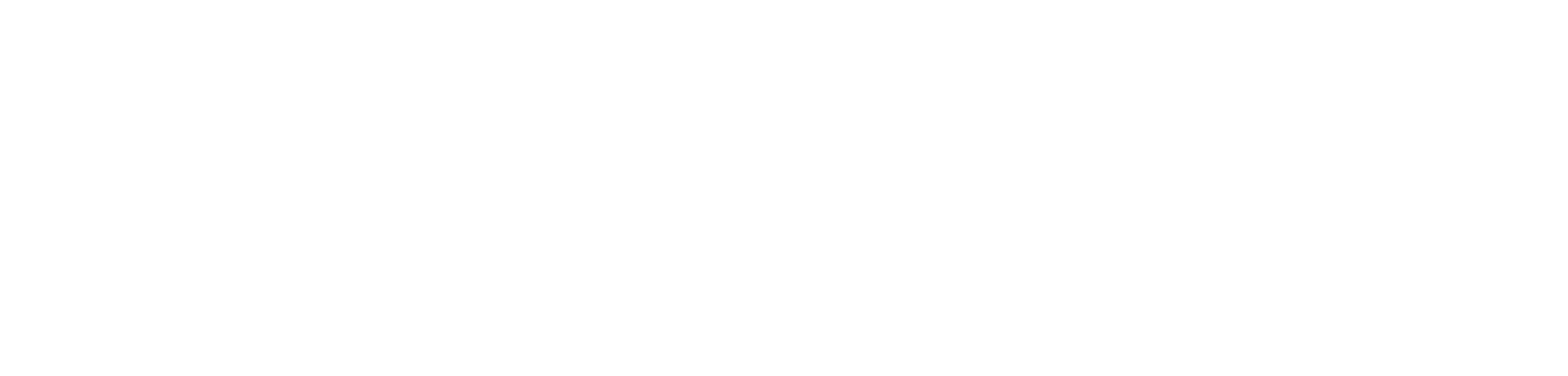 bossuetlogo7blanc.png